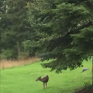 Meet your Posher, Cassidy